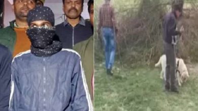 Photo of Unnao Case: किशाेरियों की हत्या में सामने आया नया तथ्य, पानी में सल्फो सल्फ्युरान मिलाकर पिलाया गया