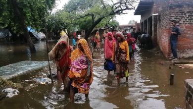 Photo of लापरवाही : तेज बारिश के चलते आधा गांव जलमग्न,लोगो का निकलना दूभर, जल निकासी अवरुद्ध  