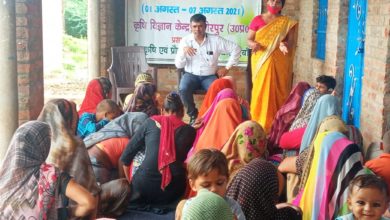 Photo of नव जात शिशु के बेहतर विकास एवम् स्वास्थ्य के लिए माँ का दूध है जीवन रक्षक : डॉ फूल कुमारी