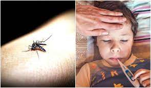 Photo of डेंगू डी-२ को हल्‍के में न लें डेंगू को, लापरवाही पड़ सकती है भारी, डी-2 स्‍ट्रेन के ये हैं लक्षण