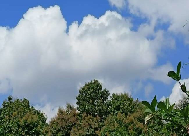 कल व 18 को गरज के साथ हो सकती हल्की बारिश 1 6 13