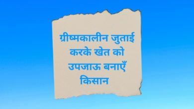 Photo of ग्रीष्मकालीन जुताई करके खेत को उपजाऊ बनाएँ किसान  