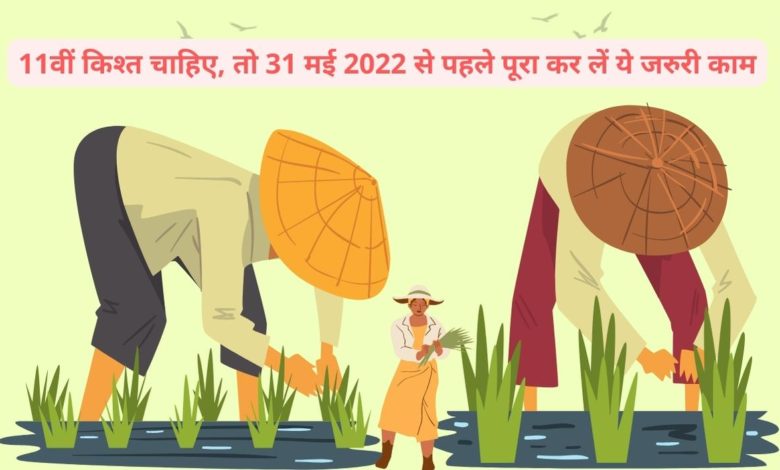 11वीं किश्त चाहिए, तो 31 मई 2022 से पहले पूरा कर लें ये जरुरी काम 1 kisan 3