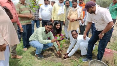 Photo of जिला पंचायत राज अधिकारी नमिता शरण ने किया पौधा रोपण