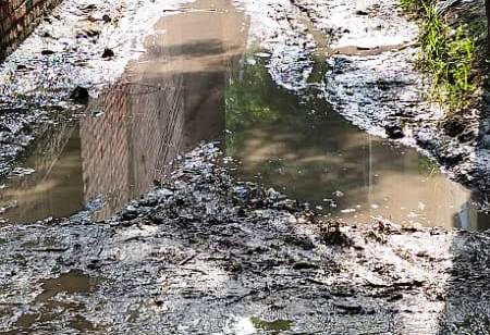 परानापुर ग्राम में बना पक्की ईट का रास्ता हुआ कीचड़ युक्त, गन्दगी व बीमारी फैलने का खतरा बढ़ा 3 photo6