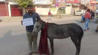 Photo of टूटी व खस्ताहाल सड़कें होने के कारण, गधा को नेताओं की संज्ञा दिया गया