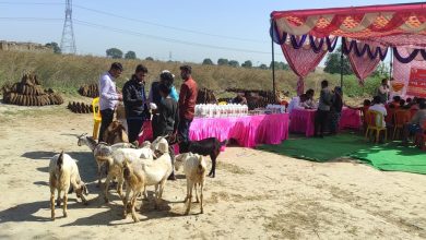 Photo of पंडित दीनदयाल उपाध्याय पशु आरोग्य शिविर मेला का आयोजन