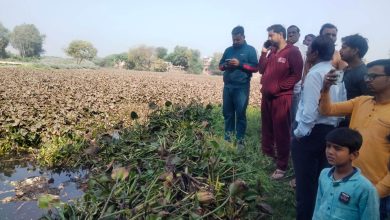Photo of तालाब की सफाई में मिला अज्ञात कंकाल