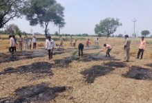 Photo of खेत में खड़ी करीब चार बिस्वा गेंहू की फसल जलकर नष्ट