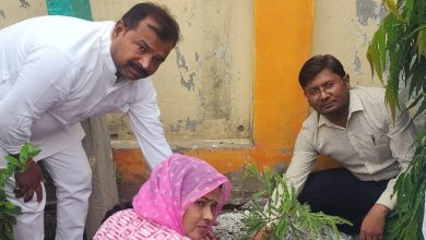Photo of हमें पेड़ों को अनावश्यक रूप से नहीं काटना चाहिए बल्कि उनकी सुरक्षा करनी चाहिए : पूनम दिवाकर