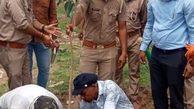 Photo of ग्राम पंचायत ढाका में वन विभाग के अधिकारियो द्वारा किया गया वृक्षारोपण