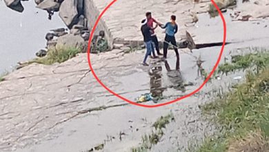 Photo of Chakia: मछलियों का अवैध धंधा करने वाला फर्जी ठेकेदार ने युवक को लाठी डंडे से पिटकर किया बेहोश, युवक की सिर्फ इतनी थी गलती लतीफशाह राइट बड़ी नहर में पकड़ रहा था‌ छोटी मछली, अभी तक नहर व माइनरों का नहीं हुआ है ठेका, अवैध तरीके से धौंस जमाकर कब्जा करते हैं मछलियों का अवैध धंधा करने वाले फर्जी ठेकेदार, वीडियो हो रहा है वायरल……