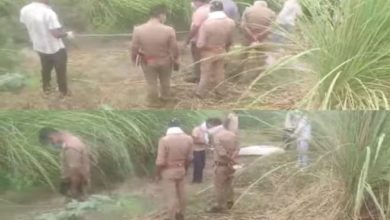 Photo of अज्ञात युवक का शव मिलने से मचा हड़कंप