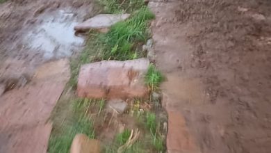 Photo of चकिया: अलीपुर भंगडा ग्राम पंचायत में 4 लाख 61 हजार 523 रुपए की लागत से बिछा चौका 4 साल का भी नहीं झेल सका सफर, 2 साल में ही तोड़ दिया दम, ग्राम प्रधान द्वारा किए गए भ्रष्टाचार को कर दिया उजागर, बारिश के दिनों में कीचड़ में ग्रामीण आवागमन को हैं विवश……