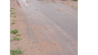Photo of चकिया:मुड़हुआ दक्षिणी गांव में हो रहा मनरेगा के तहत बड़े पैमाने पर भ्रष्टाचार, ग्राम प्रधान व मनरेगा मेठ मिलकर लूट रहे सरकारी धन, मौके पर मजदूरों की संख्या शून्य,फर्जी तरीके से निकाला जा रहा है धन…… BDO साहब करेंगे कार्रवाई….