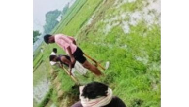 Photo of शहाबगंज:BDO साहब लटाव गांव में ग्राम प्रधान द्वारा मनरेगा के तहत बड़े पैमाने पर किया जा रहा है भ्रष्टाचार, एक ही फोटो को तोड़ मरोड़ कर कई दिन दी जा रही मनरेगा साइट पर हाजिरी…… ग्रामीण करेंगे DC मनरेगा चंदौली से शिकायत….. ग्रामीणों का आरोप सेक्रेटरी साहब भी लेंते हैं हिस्सा…..