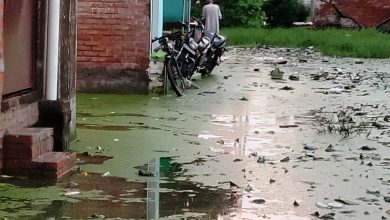 Photo of रुक -रुक कर हो रही मूसलाधार बारिश से पुखरायां कस्बे के मीरपुर,विद्यार्थी नगर में जलभराव की समस्या से जूझे लोग