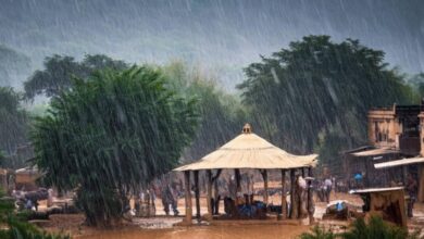 Photo of यूपी के 48 जिलों में होगी भारी बारिश,मौसम विभाग ने 5 दिन के लिए जारी किया अलर्ट