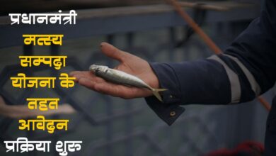 Photo of कानपुर में प्रधानमंत्री मत्स्य सम्पदा योजना के तहत आवेदन प्रक्रिया शुरू, 23 परियोजनाओं का लाभ उठाने का मौका