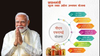 Photo of आत्मनिर्भरता की उड़ान: खाद्य उद्योग में लगाएं पंख, सरकार देगी 10 लाख तक की सब्सिडी!