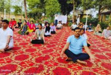 Photo of पुखरायां में 11वें अंतर्राष्ट्रीय योग दिवस का भव्य आयोजन