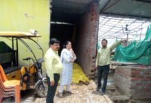 Photo of कानपुर देहात: सीडीओ ने गौशाला का किया औचक निरीक्षण, दिए कड़े निर्देश