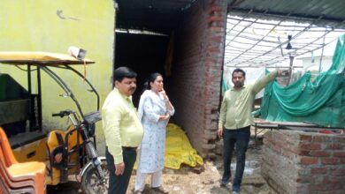 Photo of कानपुर देहात: सीडीओ ने गौशाला का किया औचक निरीक्षण, दिए कड़े निर्देश