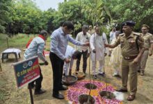 Photo of “एक पेड़ मां के नाम” अभियान के तहत जिलाधिकारी व पुलिस अधीक्षक ने किया हरिशंकरी पौधरोपण