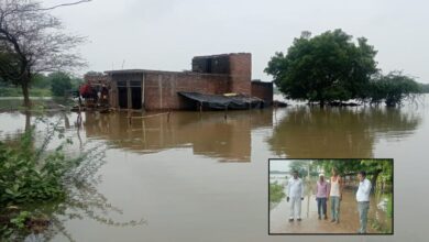 Photo of बाढ़ का कहर: यमुना और सेंगर नदियों ने मचाई तबाही, गांवों में घुसा पानी