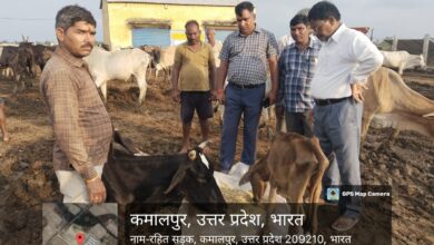 Photo of गौशाला में अव्यवस्था, ग्राम विकास अधिकारी निलंबित