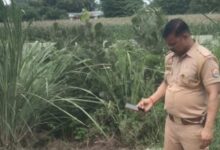 Photo of कानपुर देहात में ट्रेन से कटकर युवक की मौत