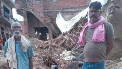 Photo of फतेहपुर में बारिश का कहर: कच्ची छत गिरने से 4 बकरियों की मौत, एक गाय घायल
