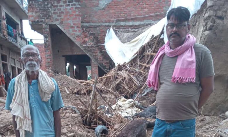 फतेहपुर में बारिश का कहर: कच्ची छत गिरने से 4 बकरियों की मौत, एक गाय घायल 3 fatehpur
