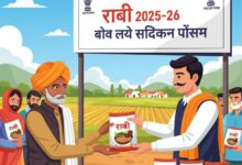 Photo of कानपुर देहात : रबी 2025-26: किसानों को मिलेगा मुफ्त दलहनी बीज मिनीकिट