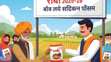 Photo of कानपुर देहात : रबी 2025-26: किसानों को मिलेगा मुफ्त दलहनी बीज मिनीकिट