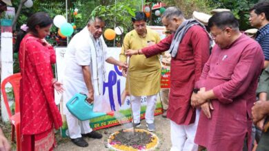 Photo of सेवा पर्व के अवसर पर सांसद अकबरपुर द्वारा नगर वाटिका नबीपुर में पौधरोपण कर दिया पर्यावरण संरक्षण का संदेश 