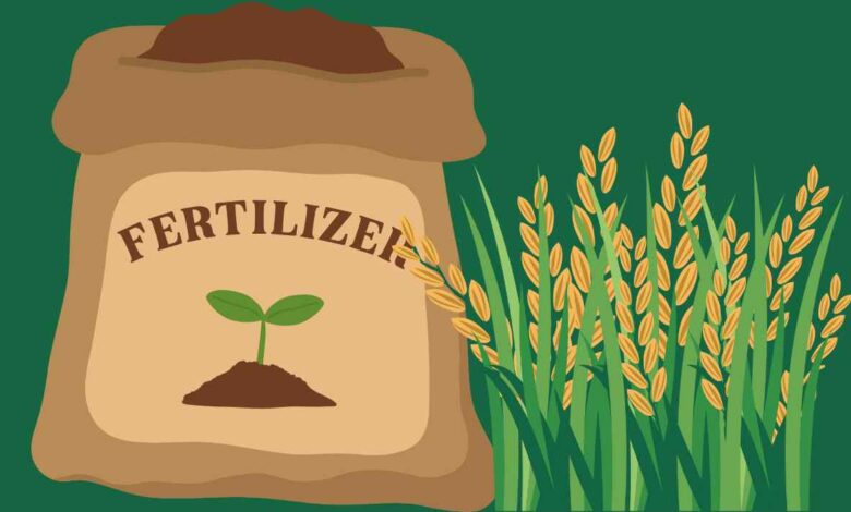 कानपुर देहात में उर्वरकों की कमी नहीं, किसानों को निर्धारित दर पर ही मिले खाद: जिला कृषि अधिकारी 3 photo 15 1 8