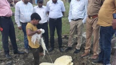 Photo of कानपुर देहात : खाद्य विभाग का ‘मिलावट’ पर वार, कानपुर देहात में 5 लाख से अधिक का मिलावटी माल नष्ट