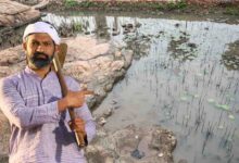 Photo of पीएम फसल बीमा: अतिवृष्टि/जलभराव से नुकसान हुआ? 72 घंटे में टोल फ्री नंबर 14447 पर शिकायत दर्ज करें किसान
