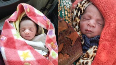 Photo of कानपुर देहात में झाड़ियों और खेत में मिले 2 अज्ञात नवजात शिशु