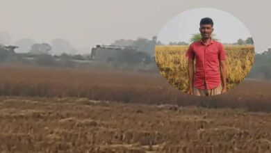 Photo of रसूलाबाद में धान की फसल में संदिग्ध परिस्थितियों में लगी आग