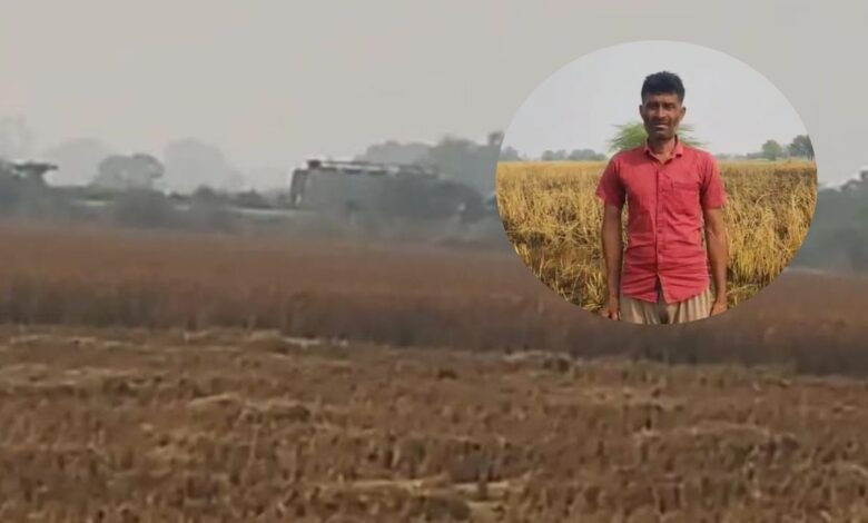 रसूलाबाद में धान की फसल में संदिग्ध परिस्थितियों में लगी आग 1 photo 26 1 2