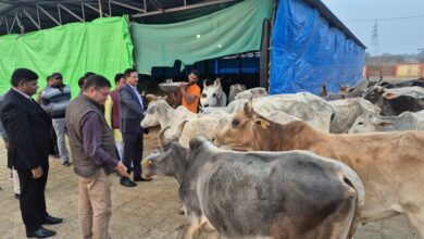 Photo of जालौन: शीतलहर में गोवंश संरक्षण को लेकर जिलाधिकारी ने कान्हा गौशाला का किया निरीक्षण