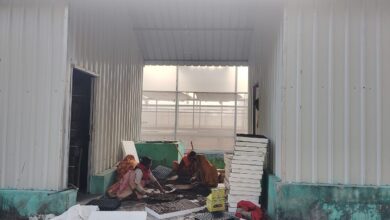 Photo of कानपुर देहात: हाईटेक नर्सरी में तैयार होगी गर्मी की सब्जियों की पौध, किसान जल्द कराएं बुकिंग