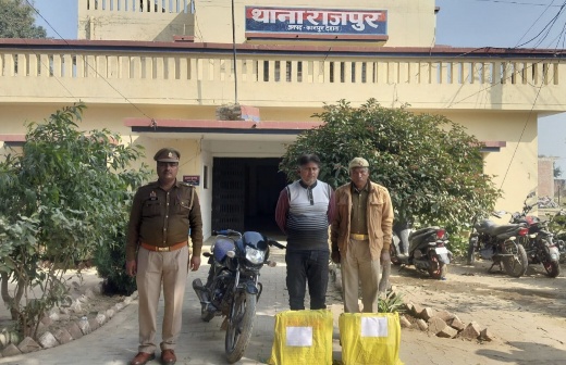 राजपूत ट्यूबल सेंधमारी
