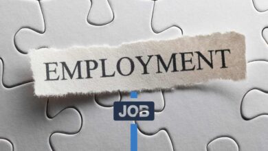 खुशखबरी: कानपुर देहात के हर ब्लॉक में लगेंगे रोजगार मेले, 22 दिसंबर से आगाज 7 Photo of खुशखबरी: कानपुर देहात के हर ब्लॉक में लगेंगे रोजगार मेले, 22 दिसंबर से आगाज