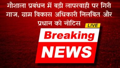 Photo of गौशाला प्रबंधन में अनियमितताओं पर प्रशासन की सख्त कार्रवाई,पढ़े रिपोर्ट 
