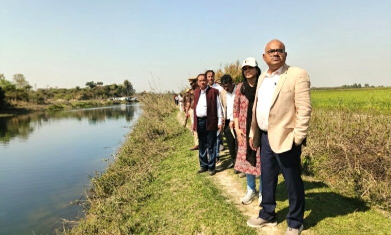 जैसरमऊ वेटलैंड कानपुर।