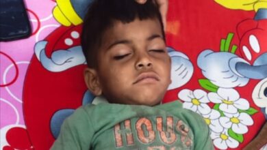 Photo of अमन यात्रा लाइव महा-अपील: अपनों से बिछड़ा 5 साल का मासूम, बरौर पुलिस की गोद में सुरक्षित, क्या आप जानते हैं इसके माता-पिता को?