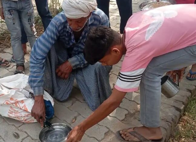 जरसेन मोर रेस्क्यू
